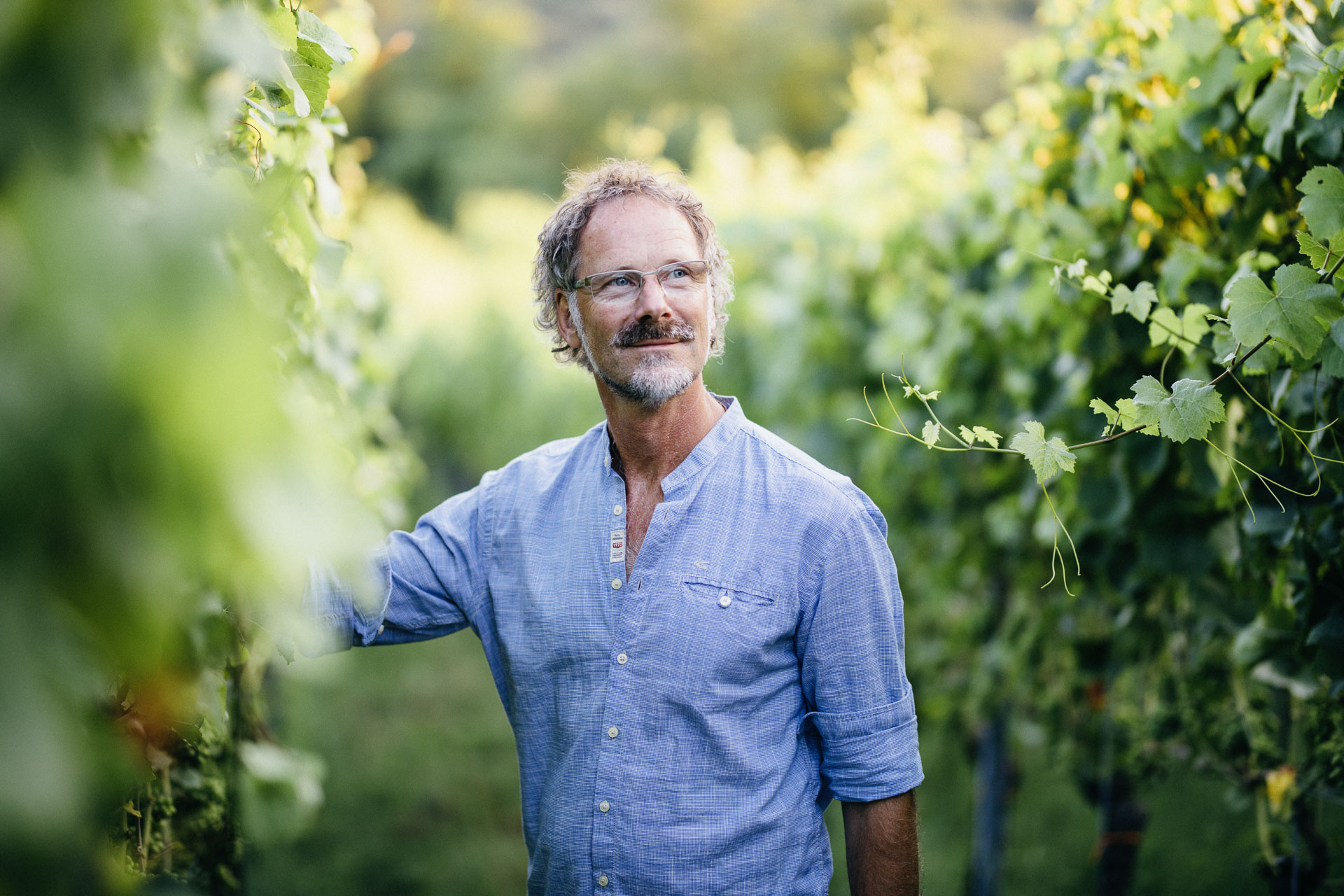 Weingut Harteneck biodynamischer Weinbau