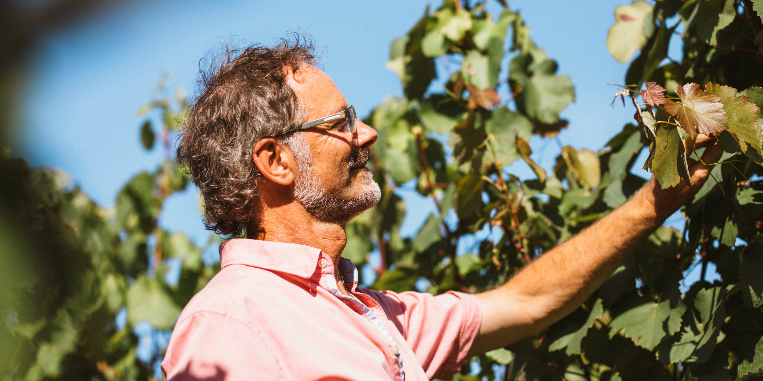 Weingut Thomas Harteneck Biodynamische Weine