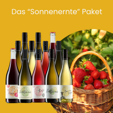 12 Flaschen biodynamisches Sonnenernte Mai-Paket von Weingut Harteneck mit Rosé, Gutedel, Sonnensegler