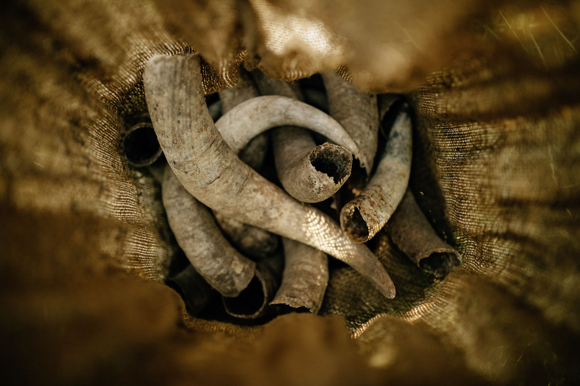 Weingut Harteneck biodynamischer Weinbau