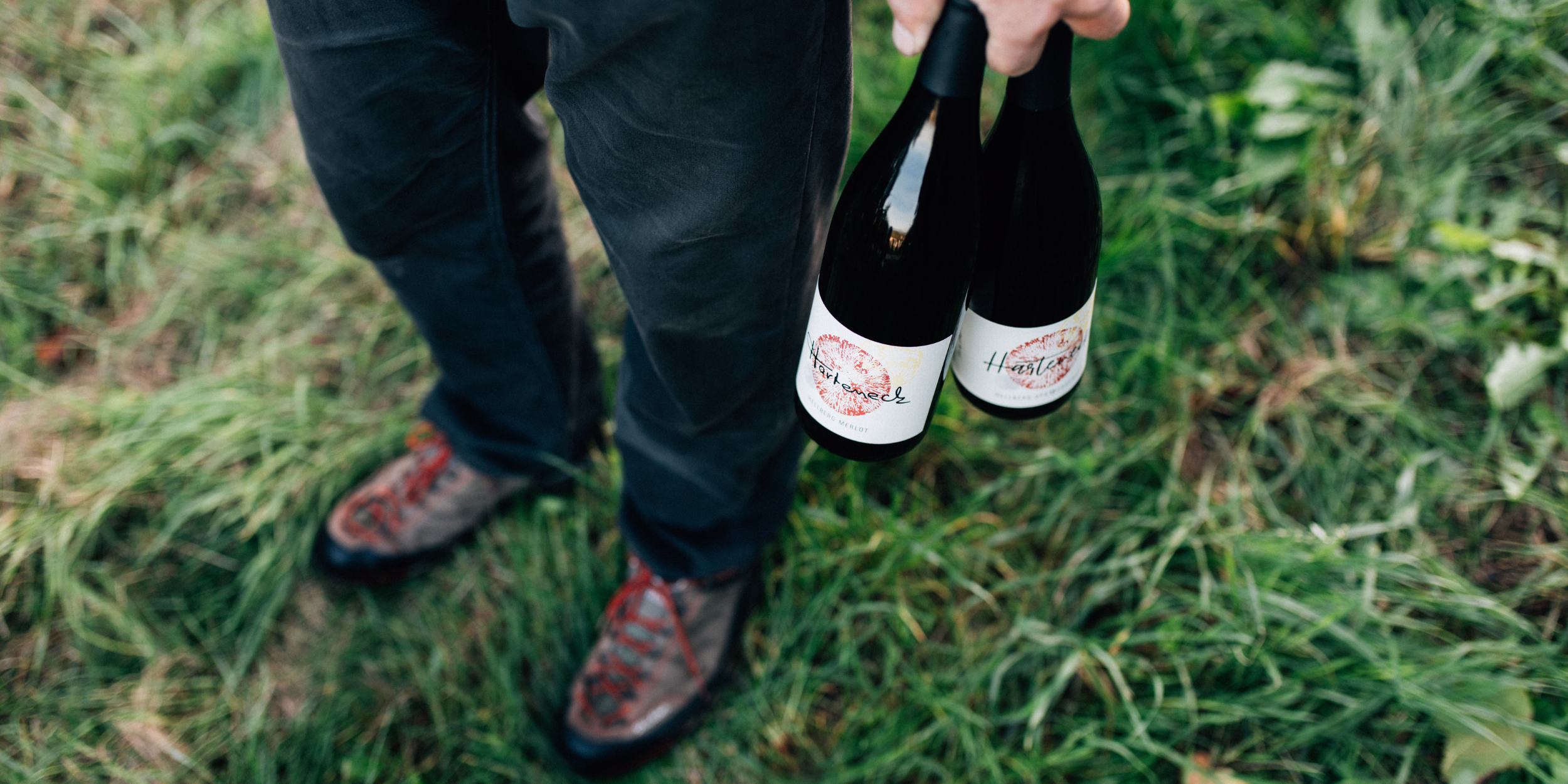 Weingut THomas Harteneck