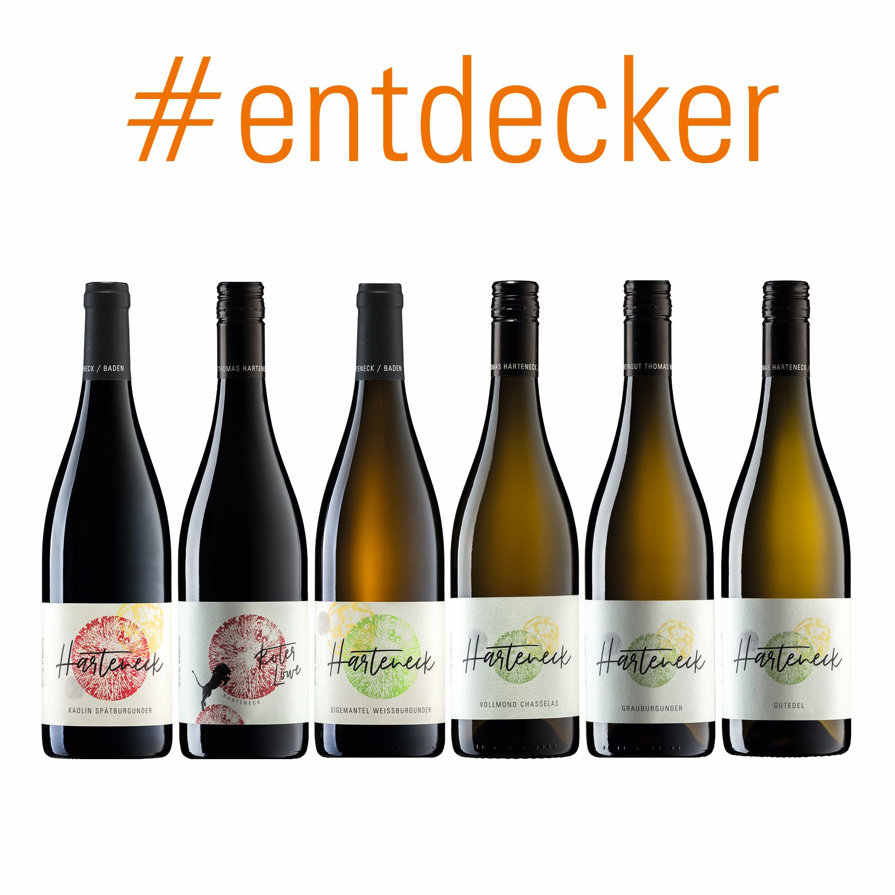 entdecker: 6 Flaschen portofrei! / - Harteneck Biodynamisch / Wein / Thomas / Natural