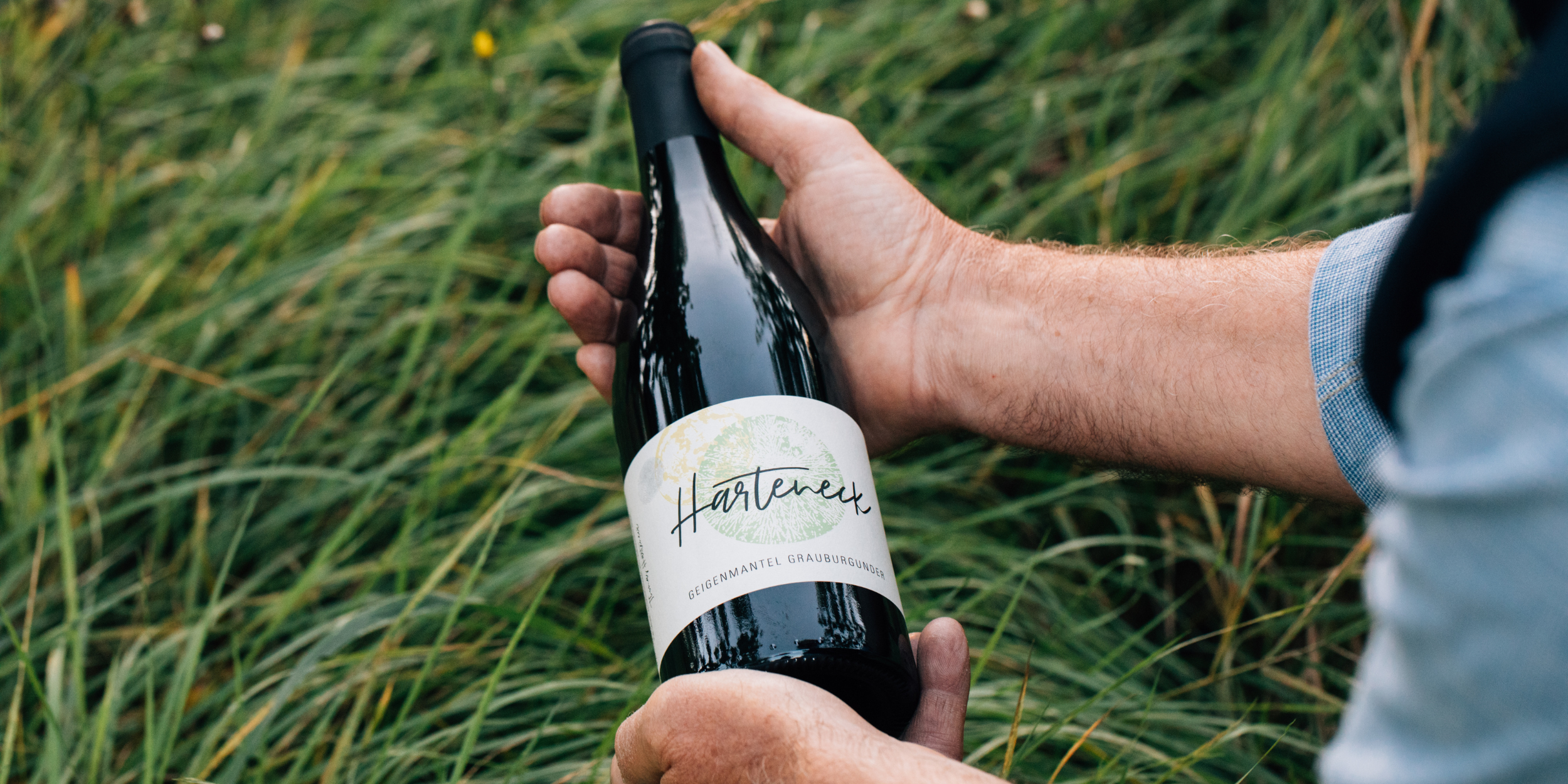 Wein aus Baden kaufen