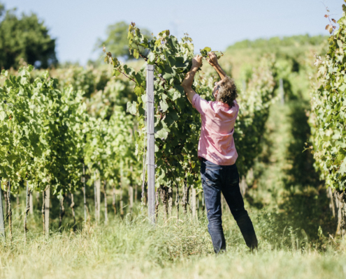 2795_Harteneck_072018_highres