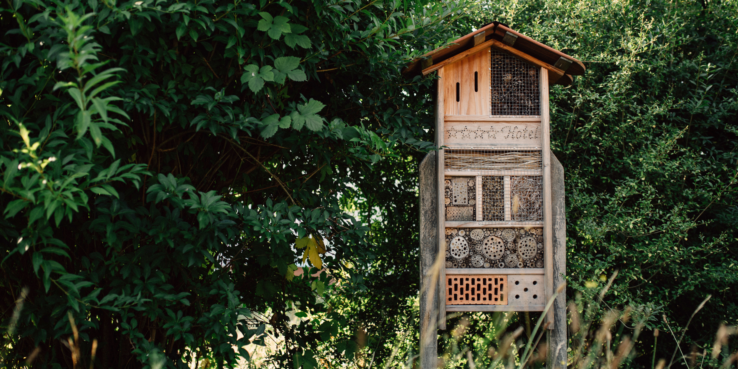 Naturwein Harteneck Baden