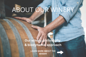 About winery Weingut Harteneck biodynamic wine