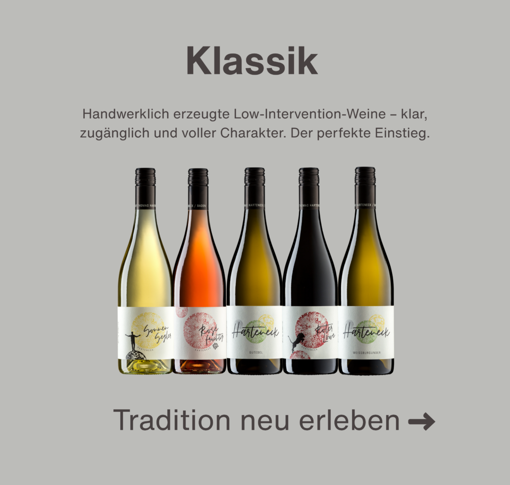 Klassik Weine Handwerklich erzeugte Low-Intervention-Weine – klar, zugänglich und voller Charakter. Der perfekte Einstieg.