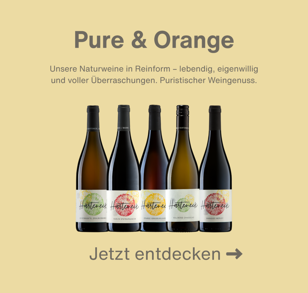 Pure & Orange Weine Unsere Naturweine in Reinform – lebendig, eigenwillig und voller Überraschungen. Puristischer Weingenuss.
