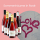 Weingut Thomas Harteneck Sommerträume in Rosé Paket mit 6 Flaschen